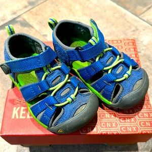 True Blue Jasmine Green US 5